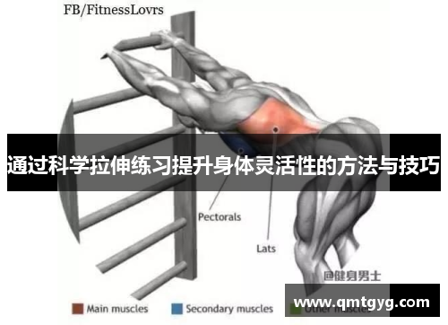通过科学拉伸练习提升身体灵活性的方法与技巧