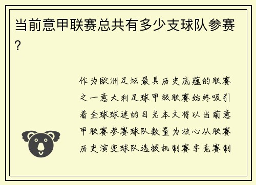 当前意甲联赛总共有多少支球队参赛？